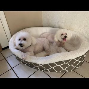 Meet your Posher, Eve